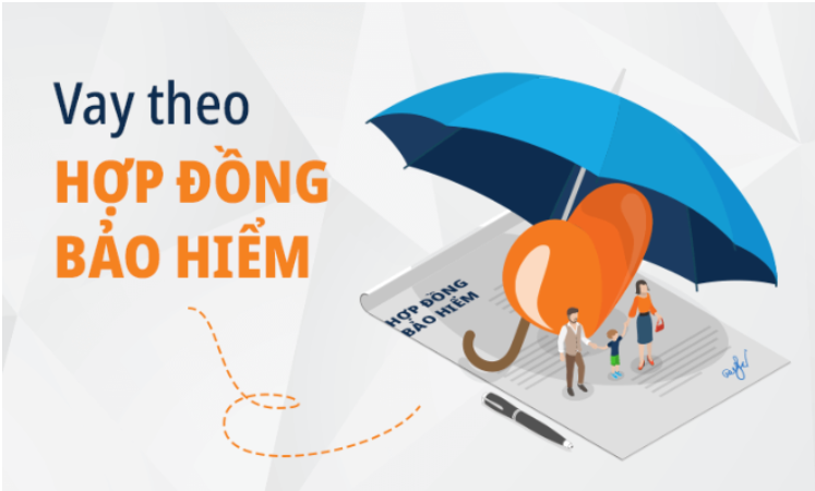 Những câu hỏi thường gặp khi vay tiền bằng bảo hiểm nhân thọ.