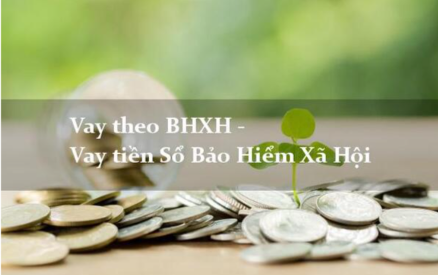 Những câu hỏi về hình thức vay tiền bằng sổ bảo hiểm xã hội.
